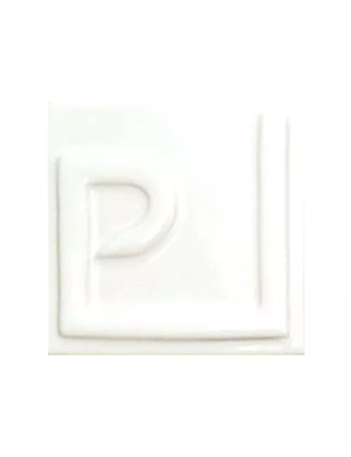 ÉMAIL FAÏENCE LIQUIDE OPAQUE SS PLB BRILLANT BLANC 250GR EOSP00L