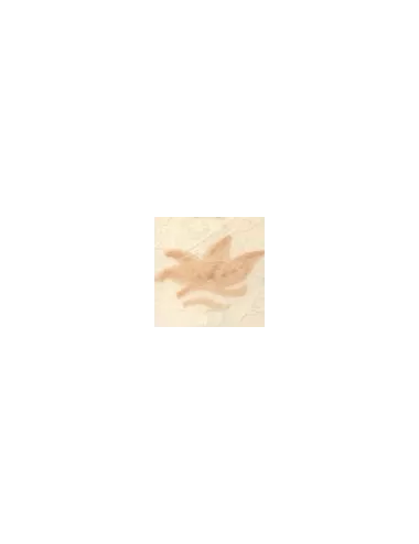 COLORANT Série D ROSE CLAIR D77 (jusqu'à fin des stocks)