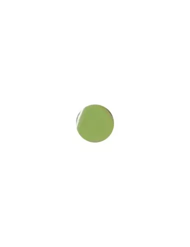 ÉMAIL FAÏENCE OPAQUE CLOISONNÉ BRILLANT VERT VICTORIA CS209