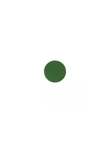 ÉMAIL FAÏENCE OPAQUE CLOISONNÉ BRILLANT VERT CS08