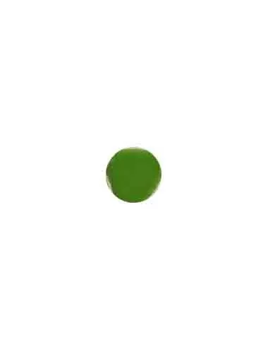ÉMAIL FAÏENCE TRANSPARENT CLOISONNÉ BRILLANT VERT ANDALOU CS466