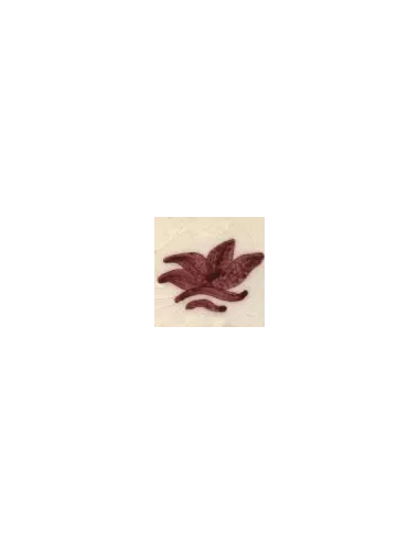 COLORANT Série D ROUGE BORDEAUX D102 (jusqu'à fin des stocks)