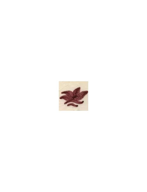 COLORANT Série D ROUGE BORDEAUX D102 (jusqu'à fin des stocks)