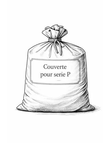 Émail Grès & Porcelaine Couverte Série P 0301 | Solargil
