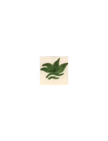 COLORANT Série D VERT FEUILLE D53 (jusqu'à fin des stocks)