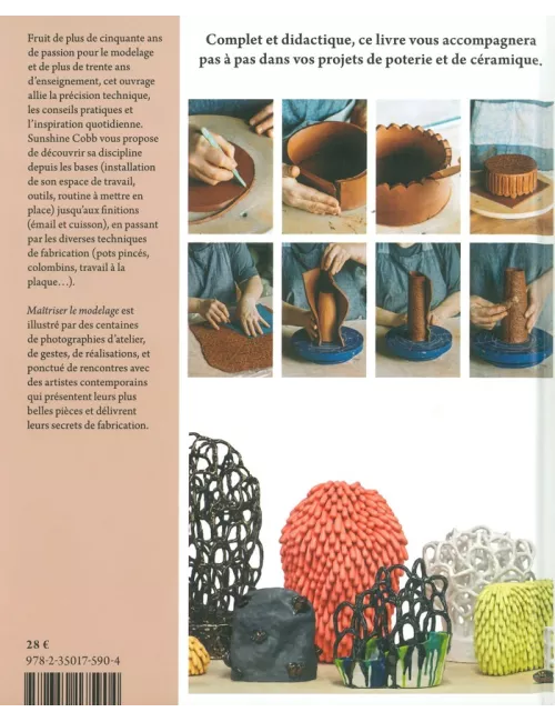 LIVRE MAITRISER LE MODELAGE