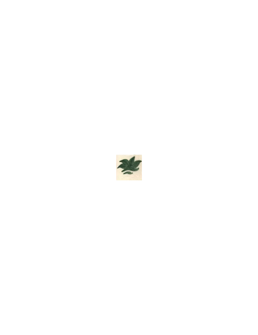 COLORANT Série D VERT PERSAN D96 (jusqu'à fin des stocks)
