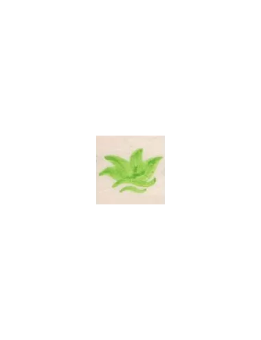 COLORANT Série D VERT VANADIUM D95 (jusqu'à fin des stocks)