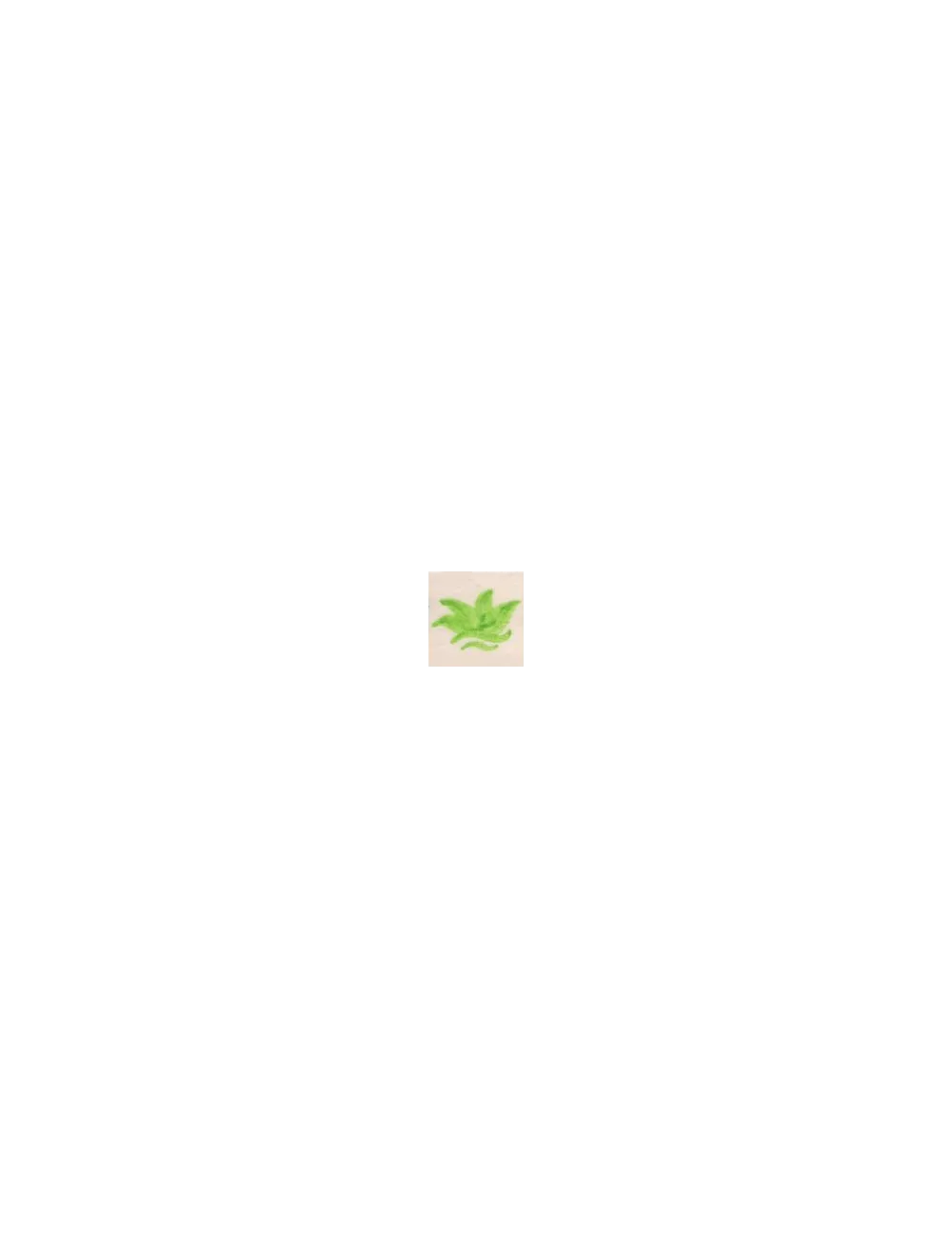 COLORANT Série D VERT VANADIUM D95 (jusqu'à fin des stocks)
