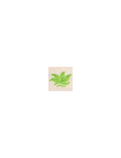 COLORANT Série D VERT VANADIUM D95 (jusqu'à fin des stocks)