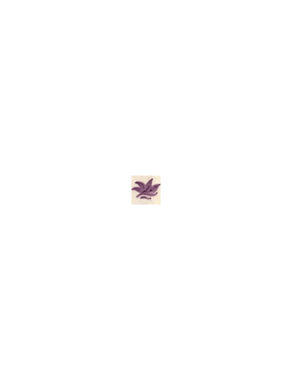 COLORANT Série D VIOLET D10 (jusqu'à fin des stocks)