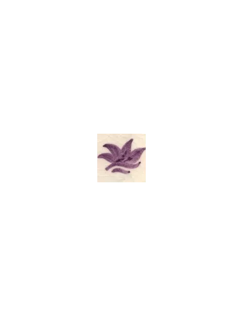 COLORANT Série D VIOLET D10 (jusqu'à fin des stocks)