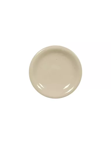 Émail porcelaine sans plomb transparent brillant ES9008 | Solargil