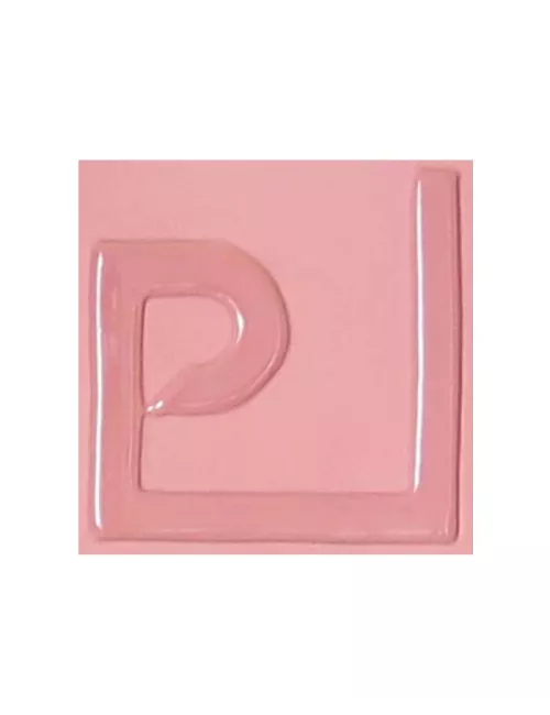 ENGOBE FAÏENCE GRÈS & PORCELAINE LIQUIDE SS PLB SAUMON 250GR EASP05L